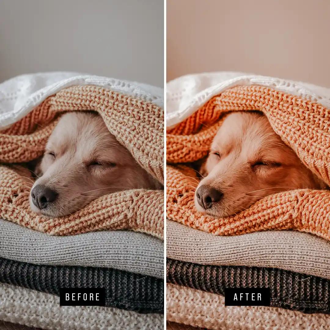 Wedding preset preview 3