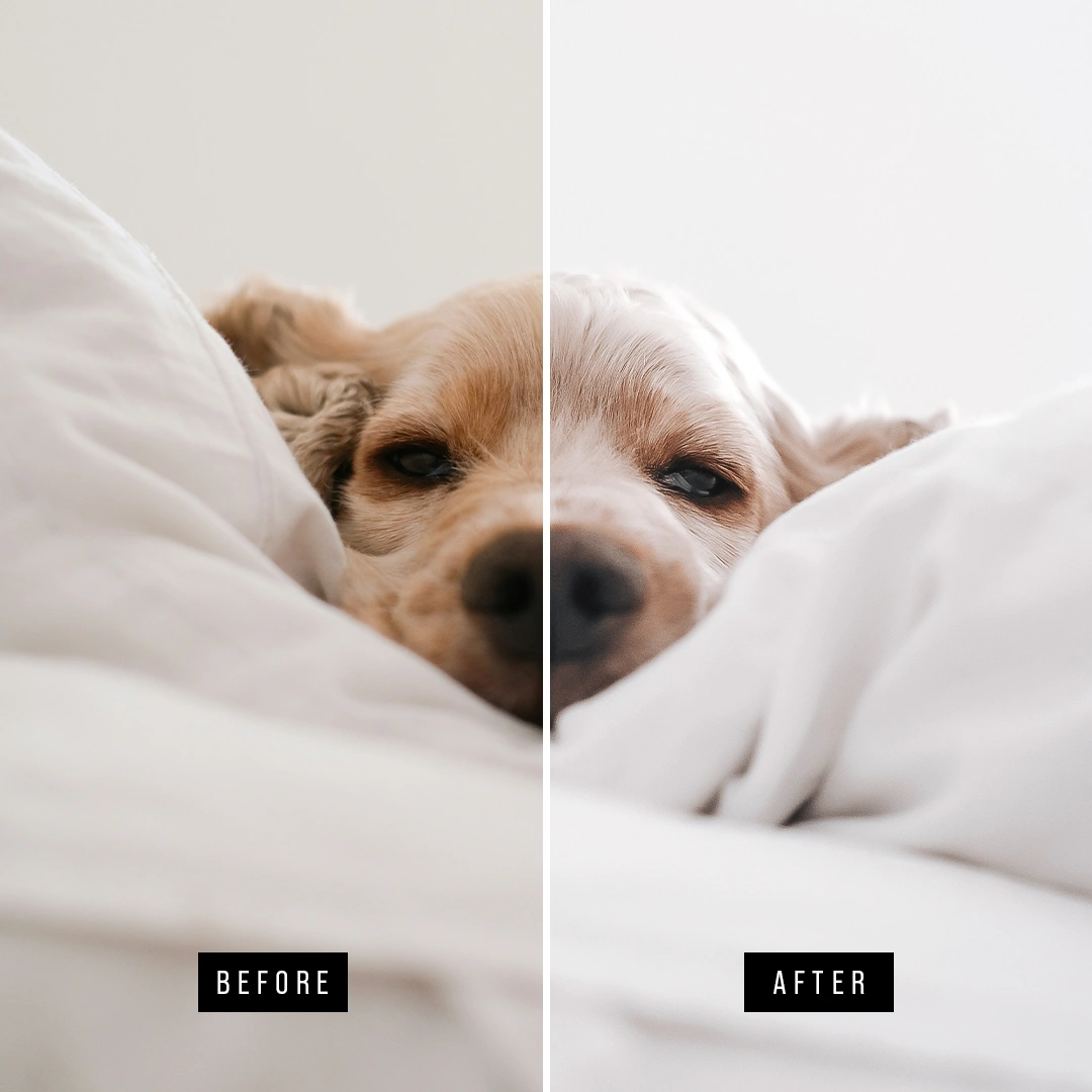 Wedding preset preview 2